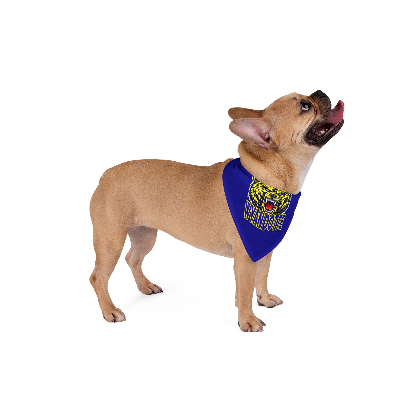 Wyandotte Bear Pet Bandana - Blue School Mascot Dog & Cat Accessory