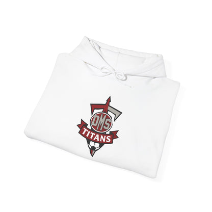 DMS Titans logo Hoodie