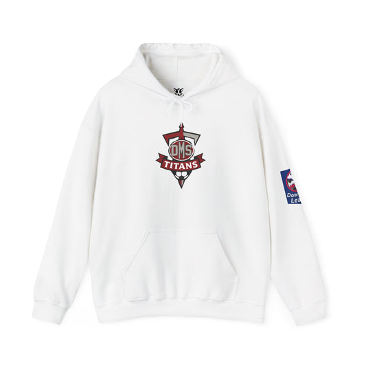 DMS Titans logo Hoodie