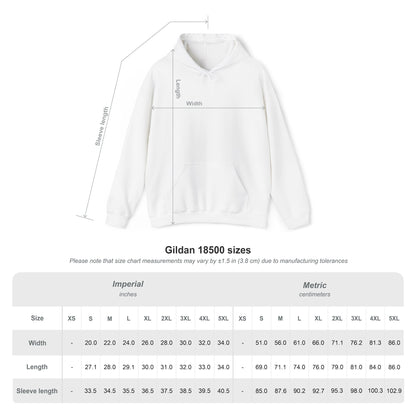 DMS Titans logo Hoodie