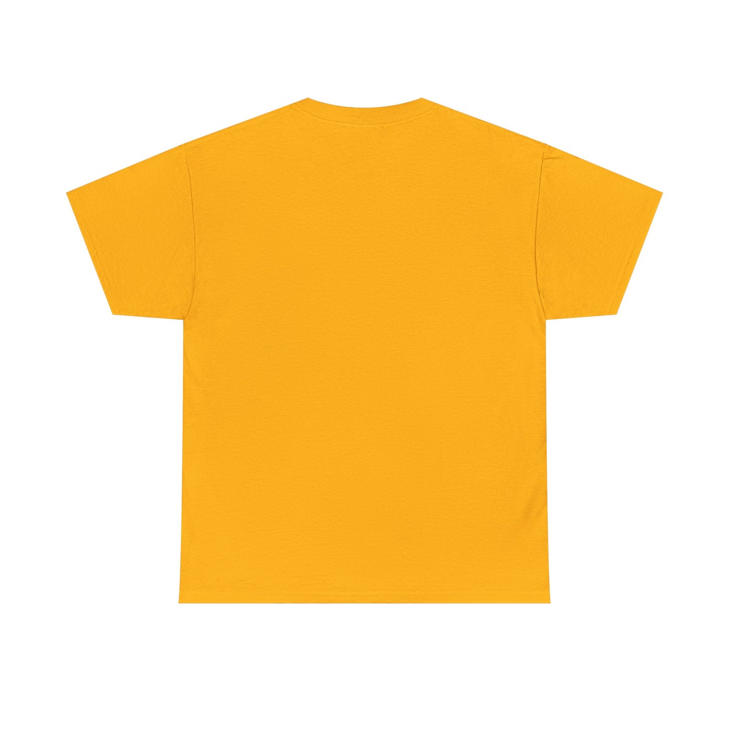 Riverview Pirates High School — Vintage School T-Shirt