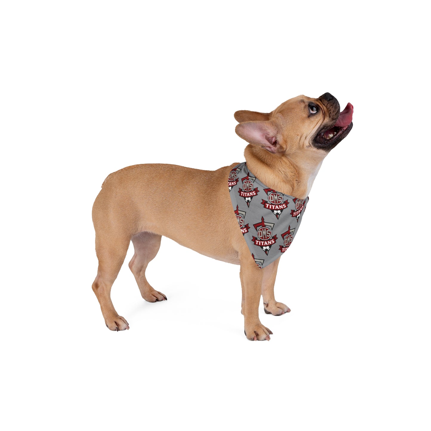 DMS Titans pattern Pet Bandana |dog scarf, soccer team bandana