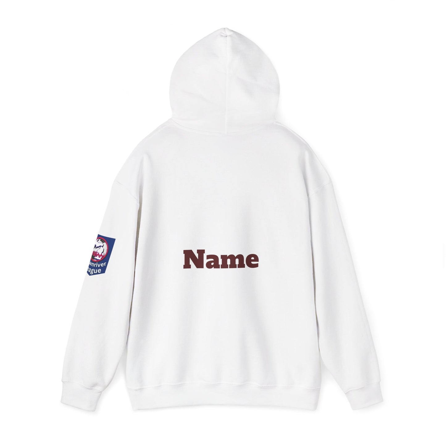 DMS Titans logo Hoodie