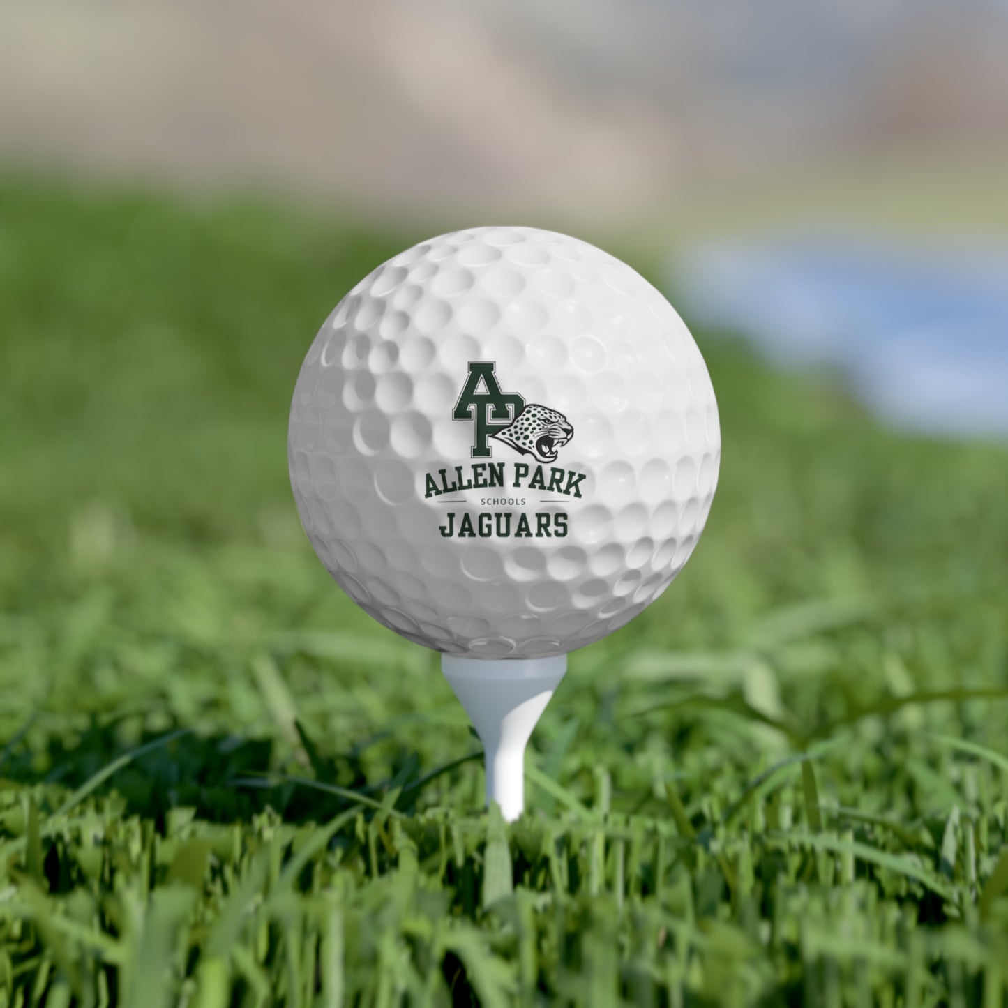 Allen Park Jaguars Golf Balls, 6pcs