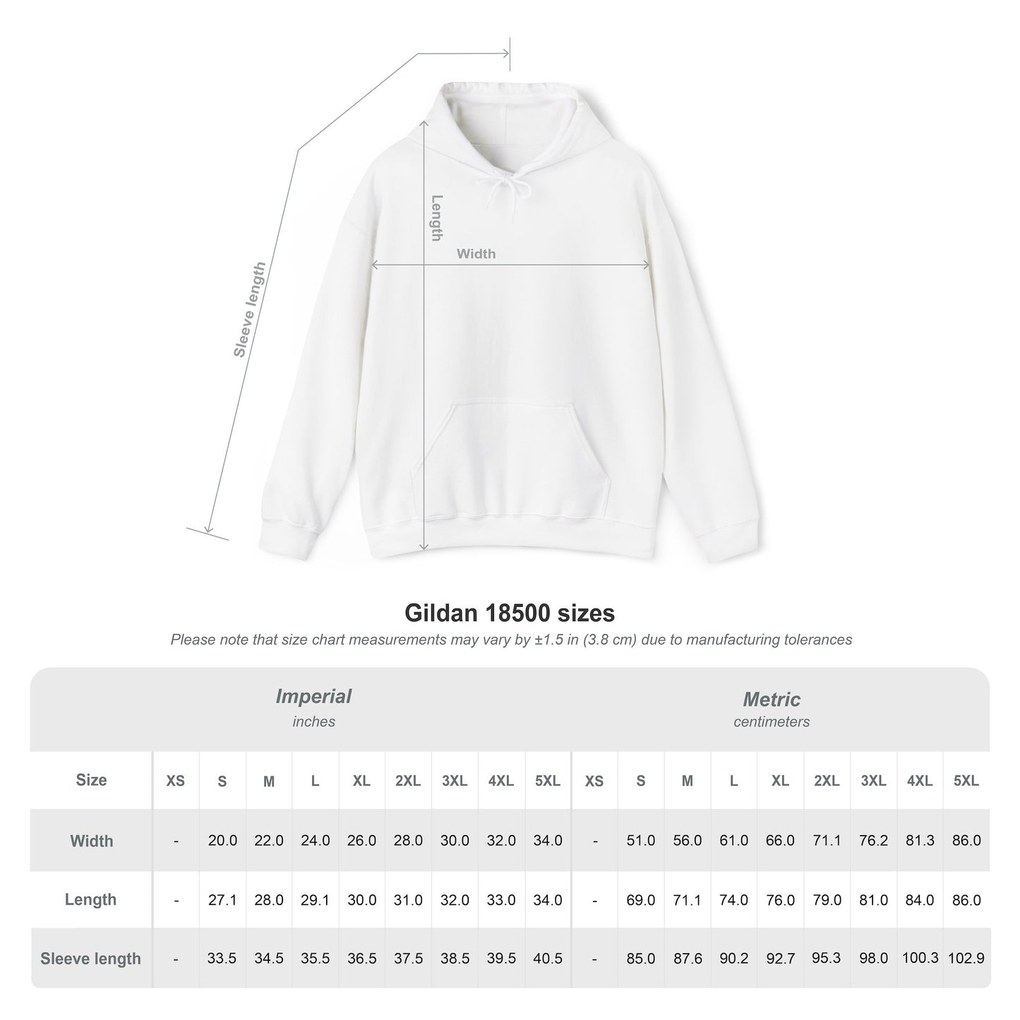 DMS Titans logo Hoodie