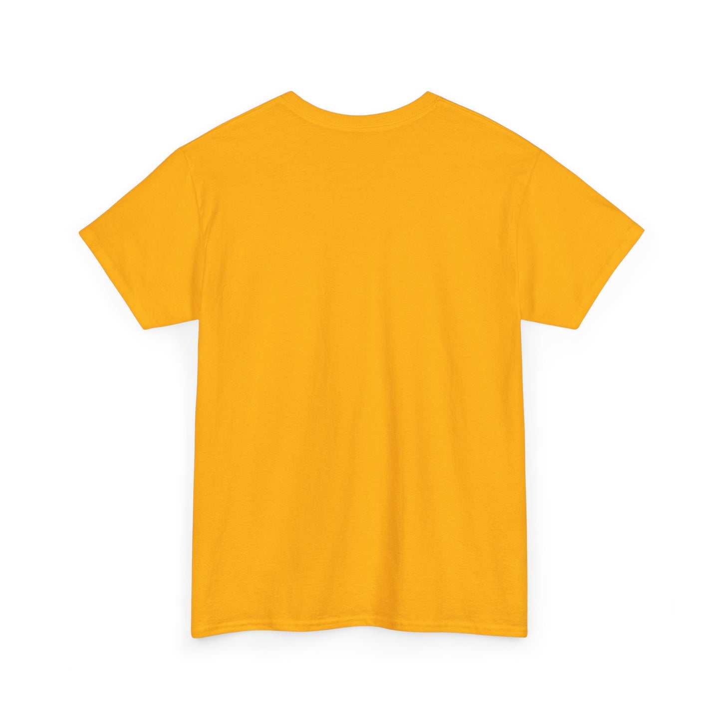 Riverview Pirates High School — Vintage School T-Shirt