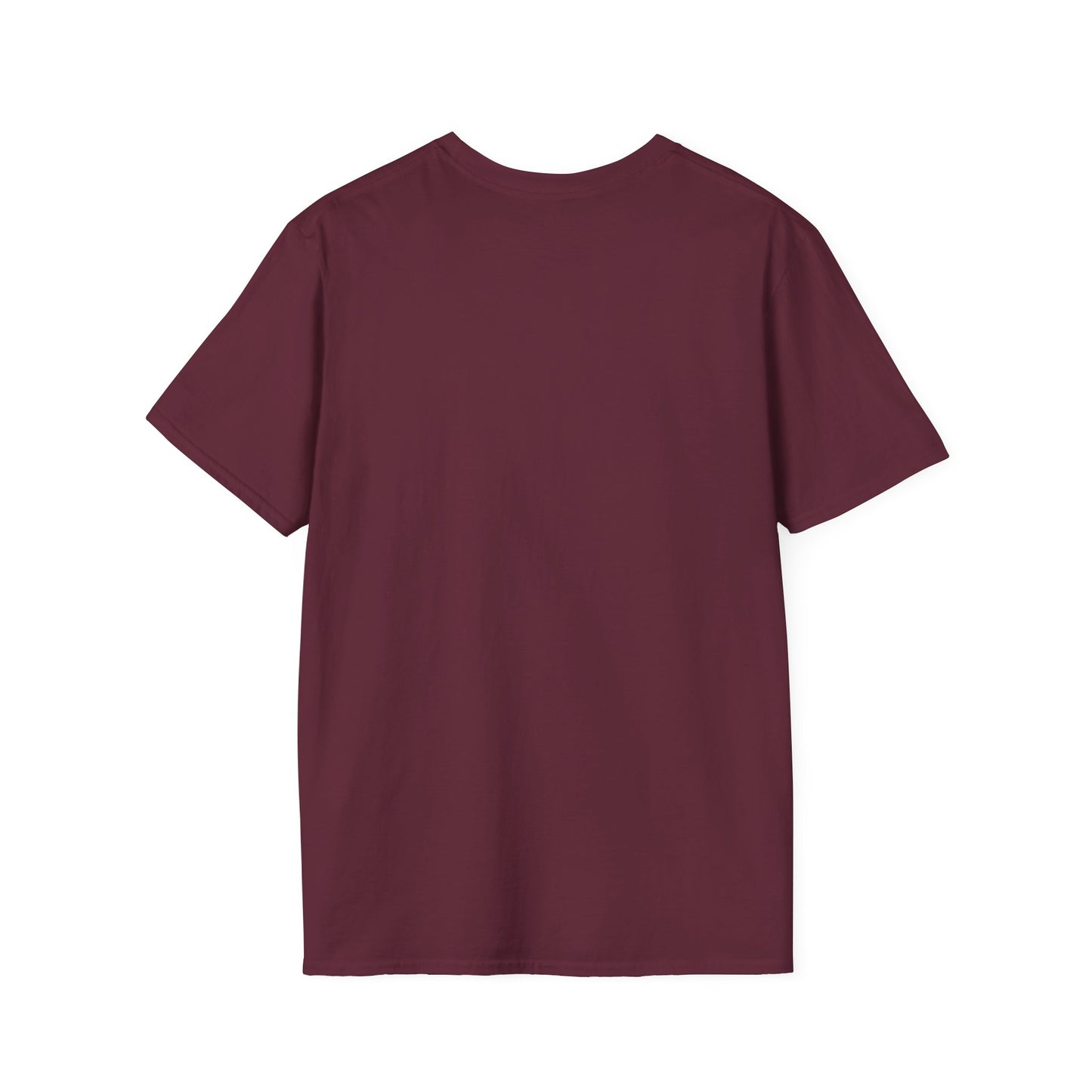 DMS Titans Logo T-Shirt | School Sports Team Tee