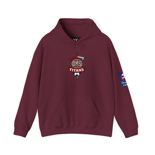 DMS Titans logo Hoodie