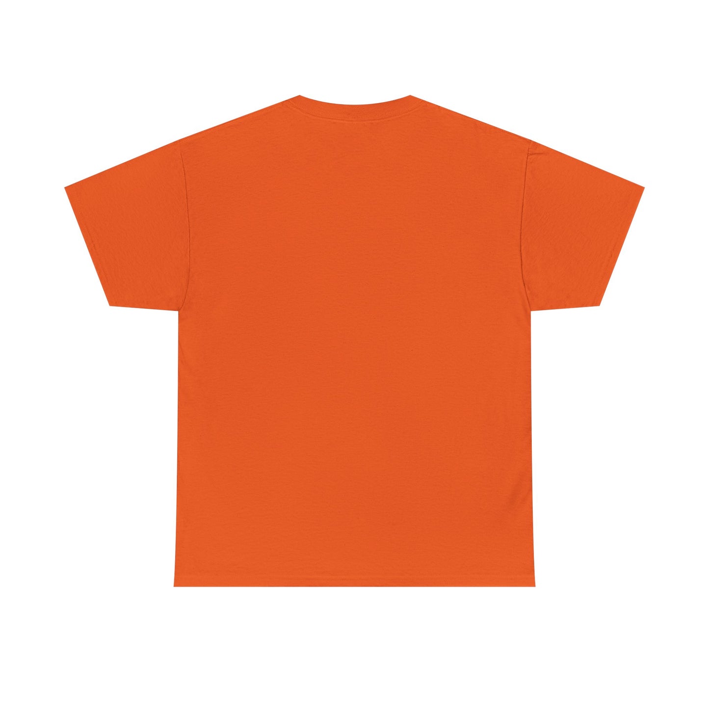 Lincoln Park Railsplitters High School T Shirt