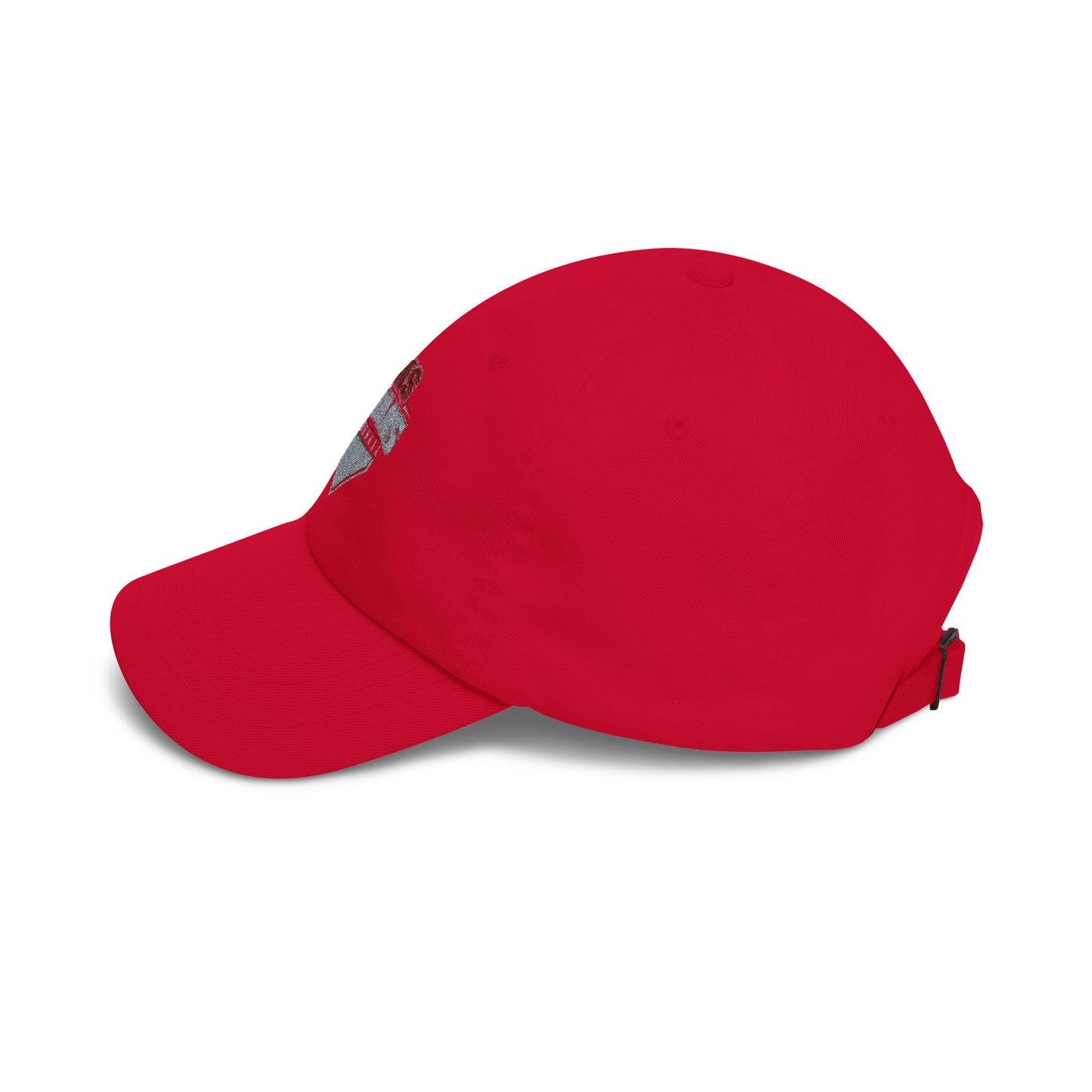 DMS Titans Baseball – Embroidered Vintage Baseball Hat