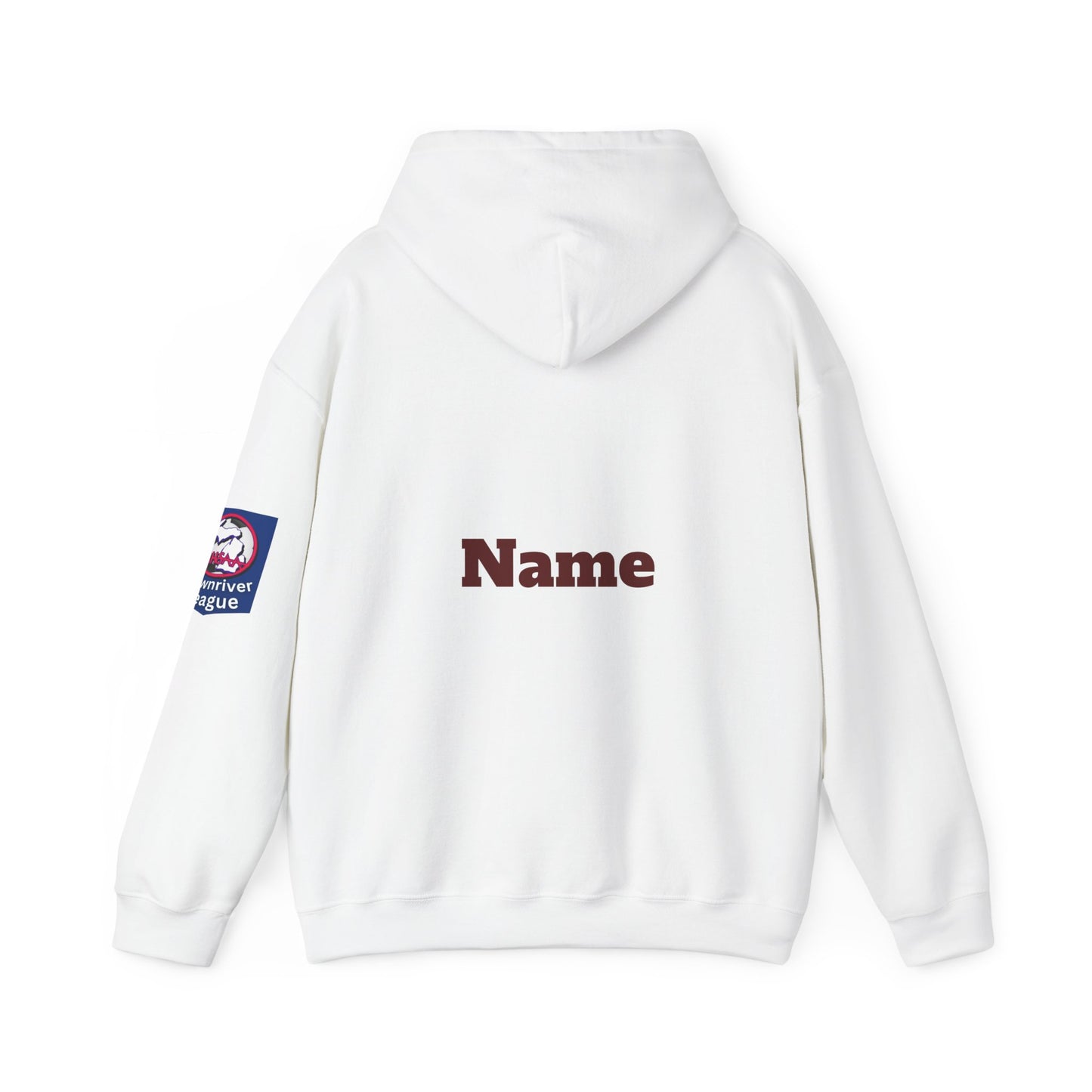 DMS Titans logo Hoodie