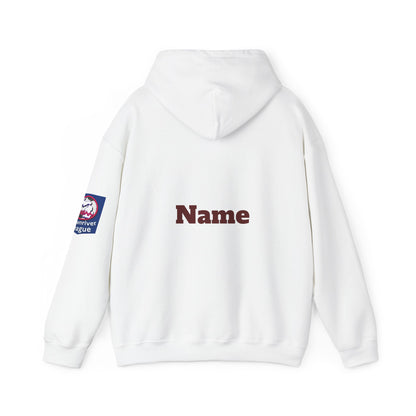 DMS Titans logo Hoodie