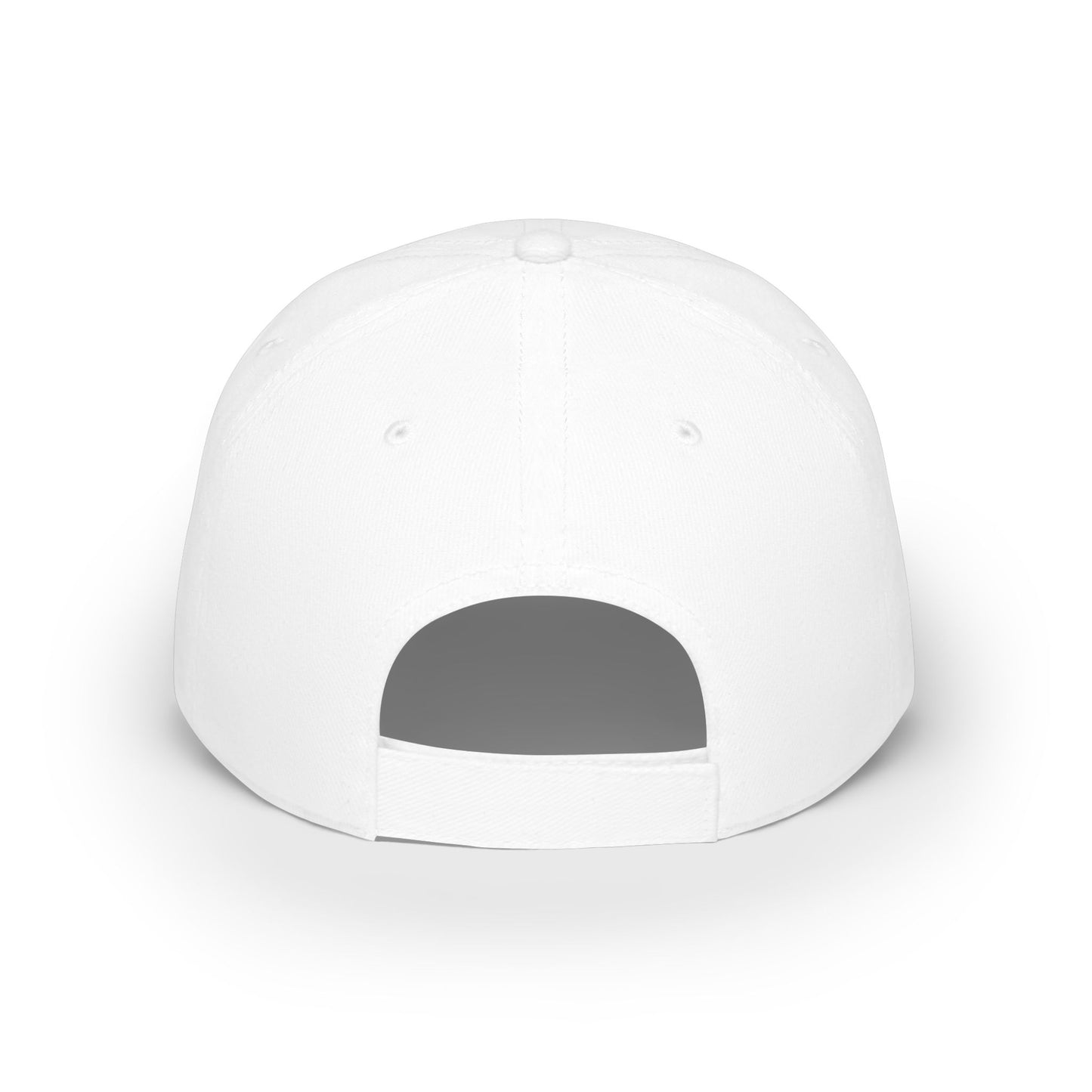 DMS Baseball Low-Profile Cap – Embroidered Bat & Ball Logo